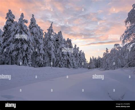 Road through snowy winter landscape, Lapland, Finland Stock Photo - Alamy