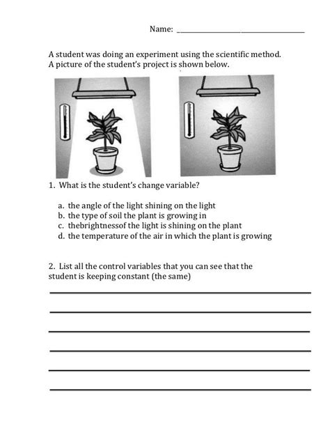 Science Experiment Variables Worksheet