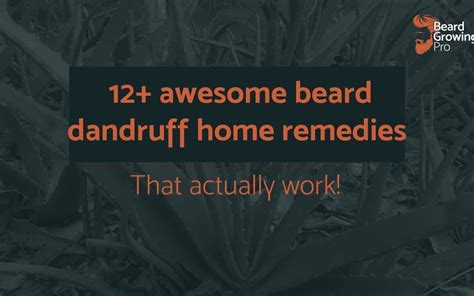 12+ AWESOME beard dandruff home remedies