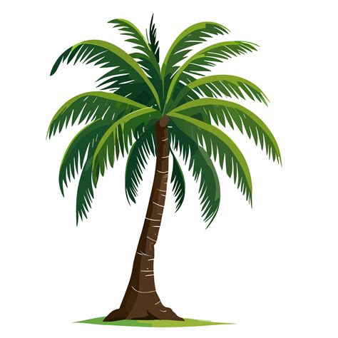 Coconut tree transparent background 25165901 PNG