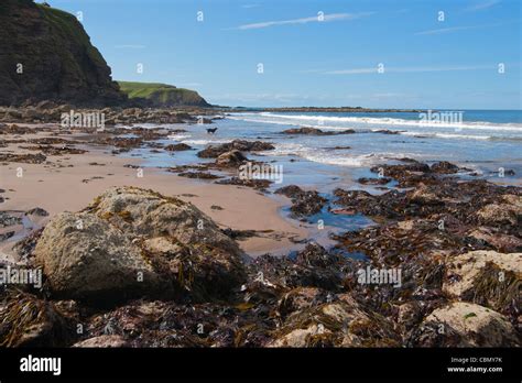 Pennan beach, Moray Firth, Aberdeenshire, Scotland Stock Photo - Alamy