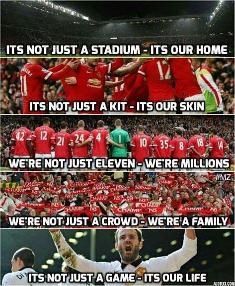 11 MANCHESTER UNITED MEMES ideas | manchester united, manchester ...