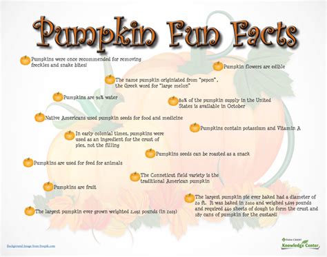 Its Fall Ya'll - Pumpkin Fun Facts | Farm facts, Fun facts, Facts