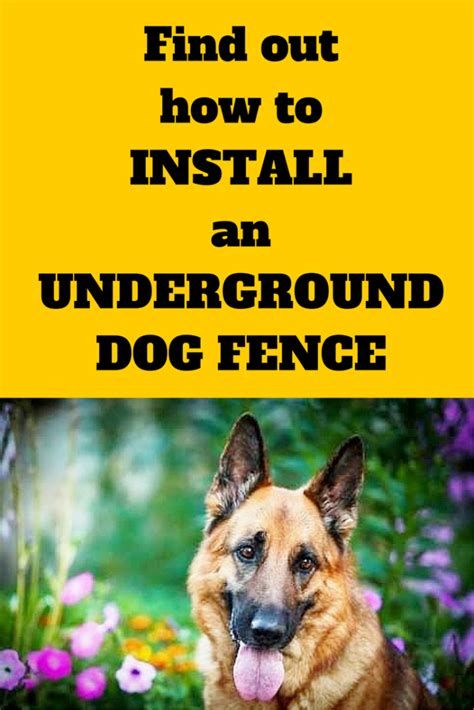 How to install an underground dog fence | Dog fence, Diy dog fence, Dog training obedience