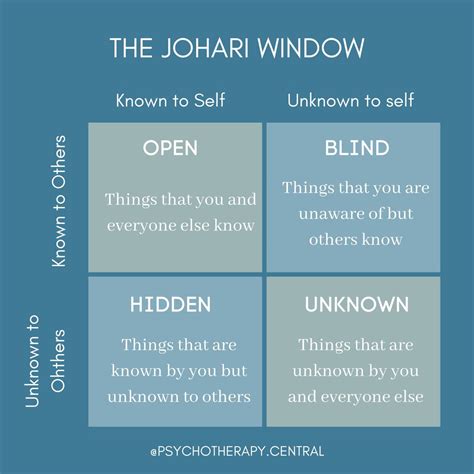 The Johari Window