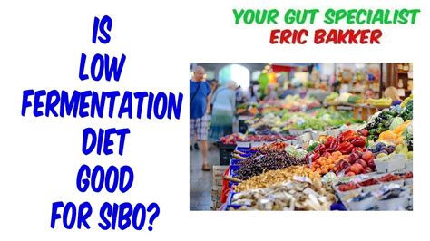 SIBO And Low Fermentation Diets: Yes Or No? - YeastInfection.Org - Your ...