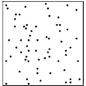 (PDF) Spatial distribution patterns