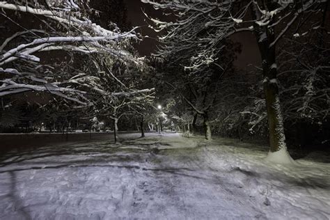 Premium Photo | Park pathway at night