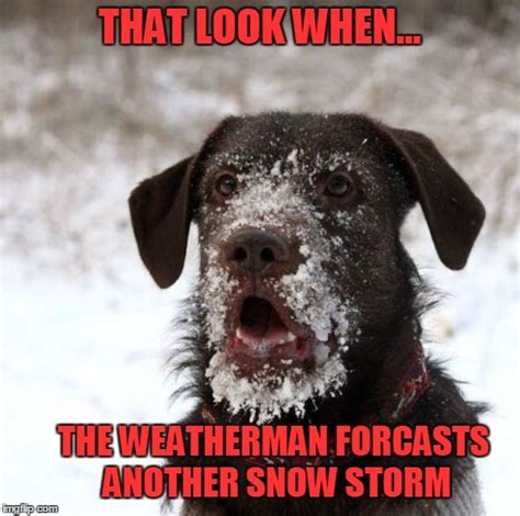 Funny snowstorm Memes