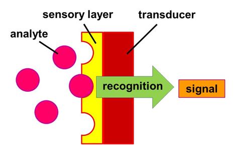 Optical Biosensors in Medical Diagnostics