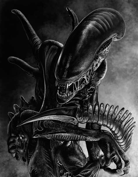 Xenomorph by freakingfabulous on DeviantArt