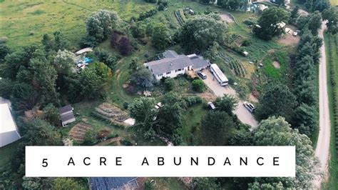 the 5 Acre Permaculture Homestead - Unbelievable Abundance - YouTube