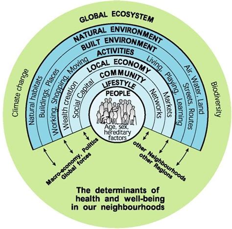 Ecology Biology |Definition & Importance of Ecology