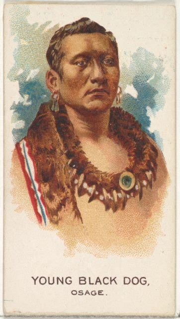Striker, Apache, from the American Indian Chiefs series (N2) for Allen ...