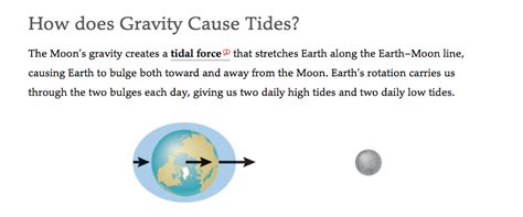 Solved How does Gravity Cause Tides? The Moon's gravity | Chegg.com