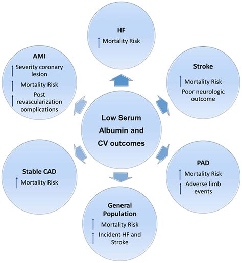 Hypoalbuminemia in cardiovascular diseases. Low levels of serum albumin... | Download Scientific ...