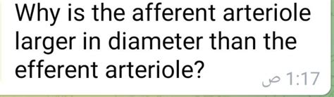 Solved Why is the afferent arteriole larger in diameter than | Chegg.com