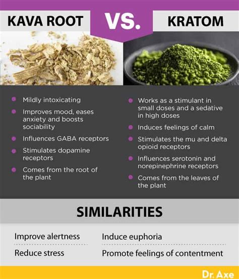 Kava Benefits vs. Dangers, Including Dosage Concerns - Dr. Axe