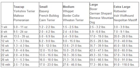 French Bulldog Puppy Growth Chart ~ AKC French Bulldog Puppies for Sale ...