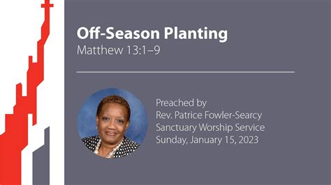 Off-Season Planting - YouTube