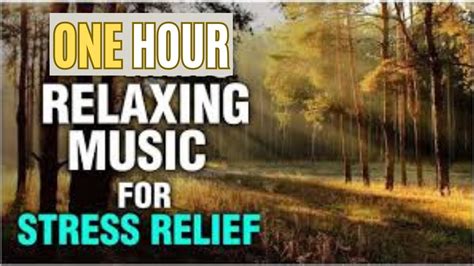 Anxiety Healing Music | One Hour of Peaceful Meditation and Stress Relief Sounds - YouTube