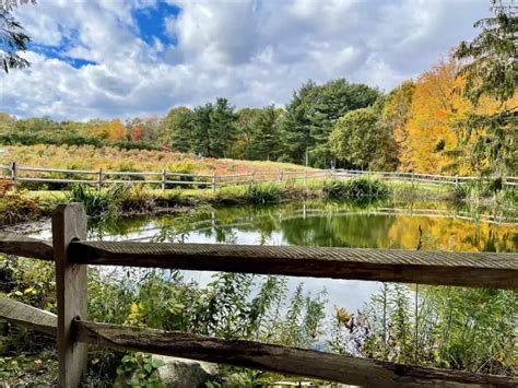 Fall Fun at Red Apple Farm in Phillipston MA - Life New England Style