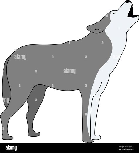 Grey wolf, illustration, vector on white background Stock Vector Image ...