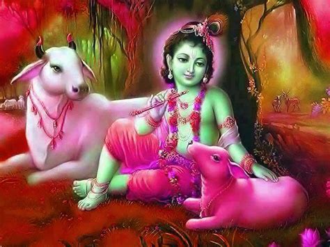 Baby Krishna Cute Wallpapers With Cow Background - HD Wallpaper Pictures