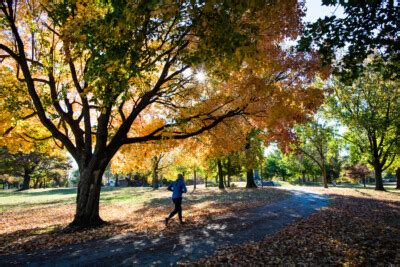 Activities - Lafayette Park Conservancy