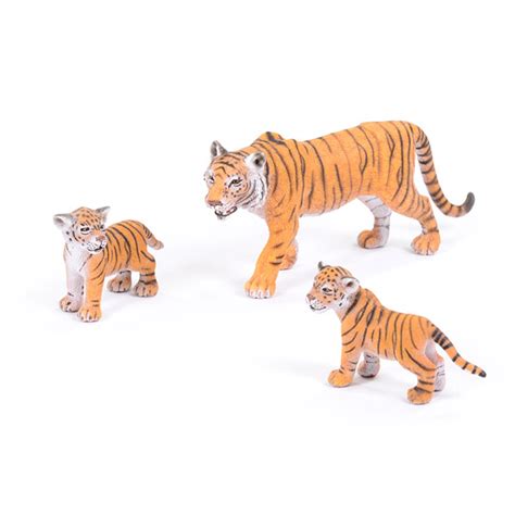 Tiger Family | Early Excellence Classroom Resources