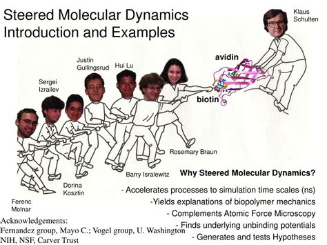 PPT - Steered Molecular Dynamics Introduction and Examples PowerPoint ...