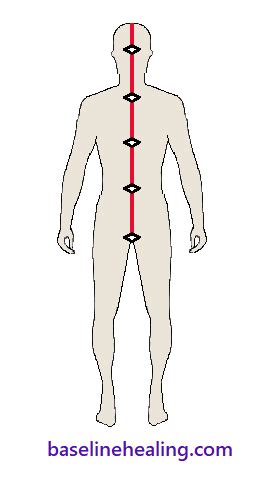 anatomy 5 main muscles of movement list page