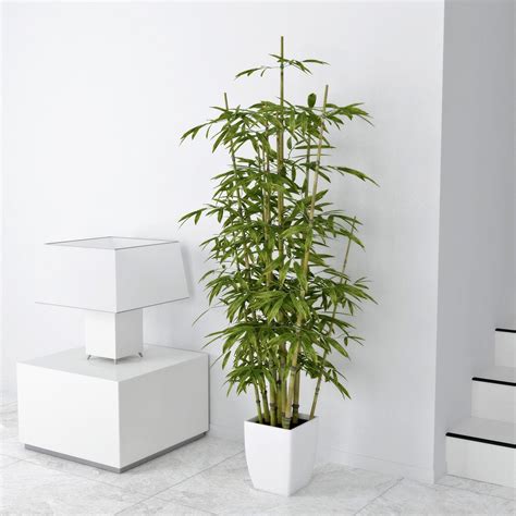 Bamboo 3D Models download - Free3D