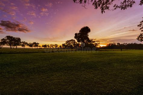 Gorgeous Sunrise in Africa, Safari Stock Photo - Image of namibia ...