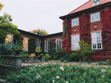 Gothenburg Botanical garden, Sweden • autumn •climber plants