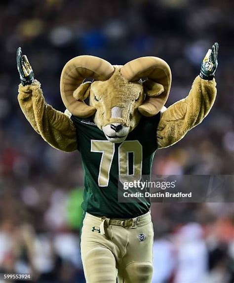 Colorado State Rams Mascot Photos and Premium High Res Pictures - Getty ...