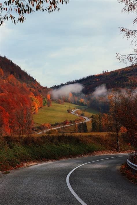 Photo of a Road in Autumn · Free Stock Photo