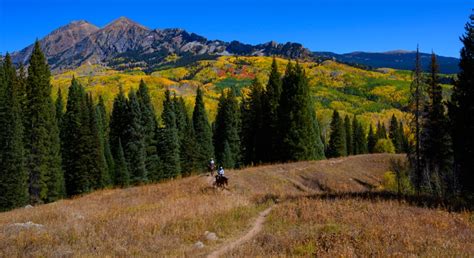 Scenic drives for leaf-peeping, fall colors in Colorado