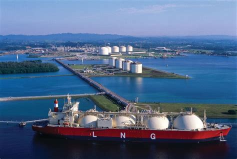 Sources: Four Bidders Vie for Stake in Exxon LNG Terminal in Italy ...