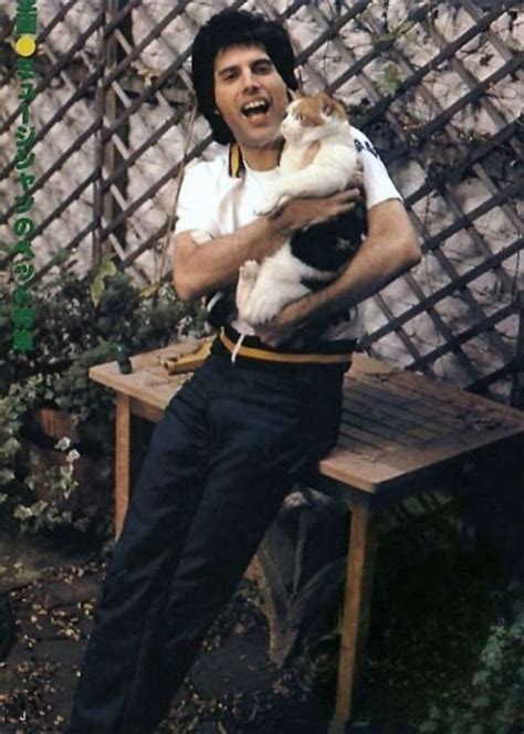 20 Vintage Photos Of Freddie Mercury And His Cats That Show His Love For Them Was Unconditional ...