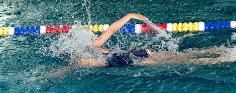 Which Is Faster, the Butterfly Stroke or the Front Crawl? - Backstroke Sprints