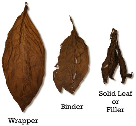 Cigar Terminology Guide - Cigar Glossary - Total Leaf Supply