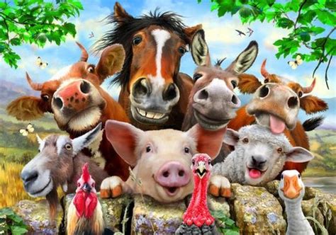 Les animaux de la ferme en français | FLE