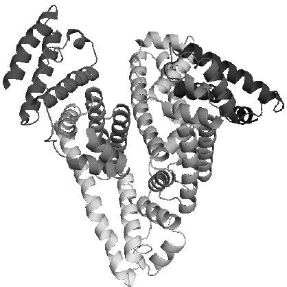 Three-dimensional structure of dimeric beta-Lactoglobulin at neutral ...