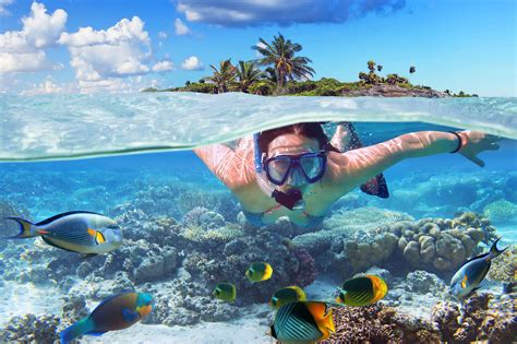 Fun in Florida: Why You Should Try Out Madeira Beach Snorkeling ...