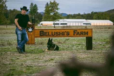 Growing Belushi is Back For a Hilarious Second Season | Growing Belushi ...