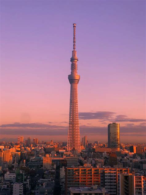 Tokyo Skytree; yesterday morning : r/japanpics