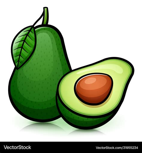 Avocado isolated design drawing Royalty Free Vector Image