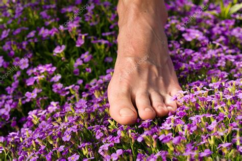 Healthy feet series: male foot — Stock Photo © Kzenon #5024964