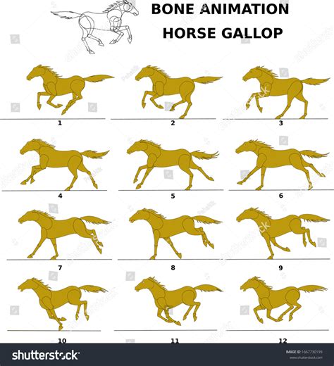 Horse Gallop Bone Animation Vector Flexible Stock Vector (Royalty Free) 1667730199 | Shutterstock